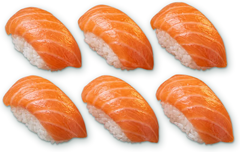 Nigiri sushi saumon : 6 nigiris · saumon, riz vinaigré